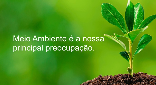 Programa